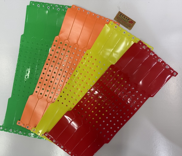 Plastic Wristband F Shape 100/pk